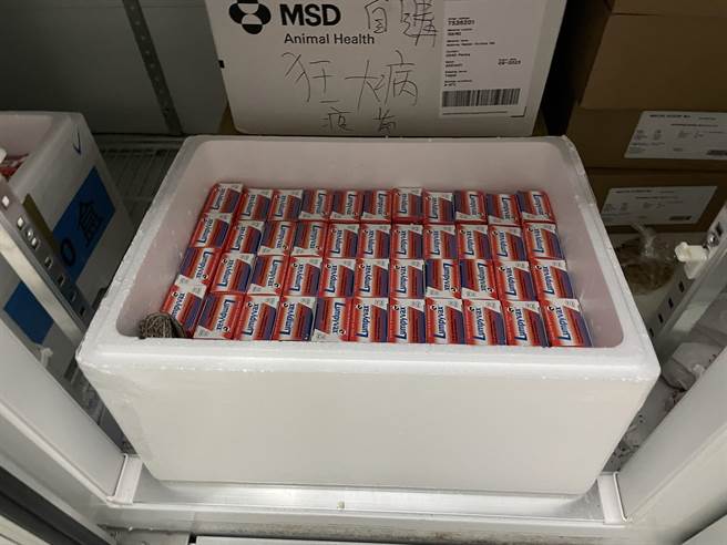 5200剂牛结节疫苗昨抵花莲。（花莲县政府提供／罗亦晽花莲传真）
