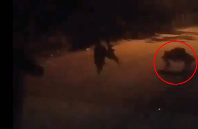 哥斯大黎加一戶民宅前出現神秘「4腳怪」，附近狗群見狀也不斷衝上前吠叫。（圖／翻攝自Reddit）