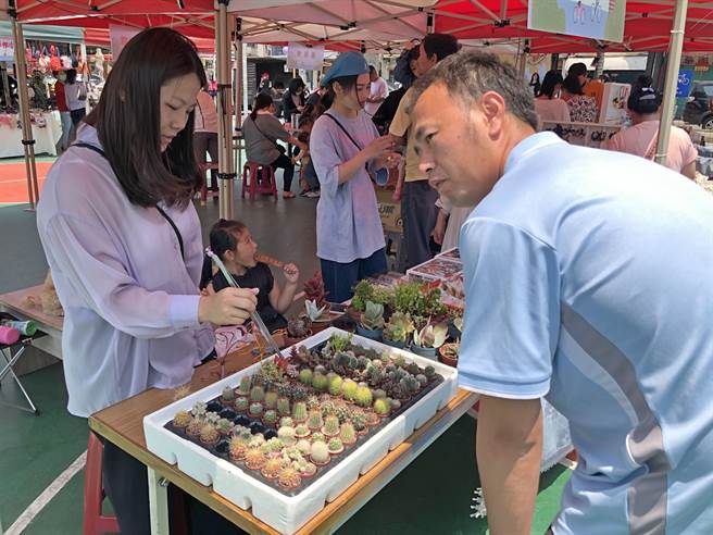 市集内也规画疗癒心灵的多肉植物摊位。（李金生摄）