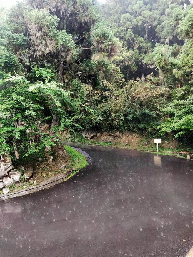 南投县溪头在24日午后三时下起大雨。（杨先生提供／卢金足台中传真）