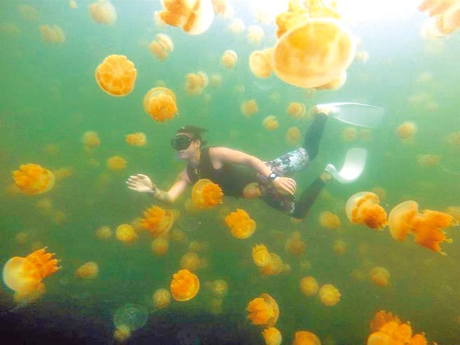 （雄狮旅游提供／陈佑诚传真）