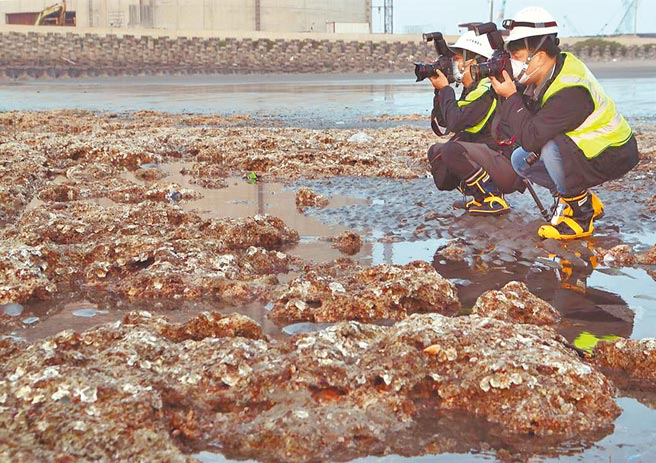 （本报系资料照片）