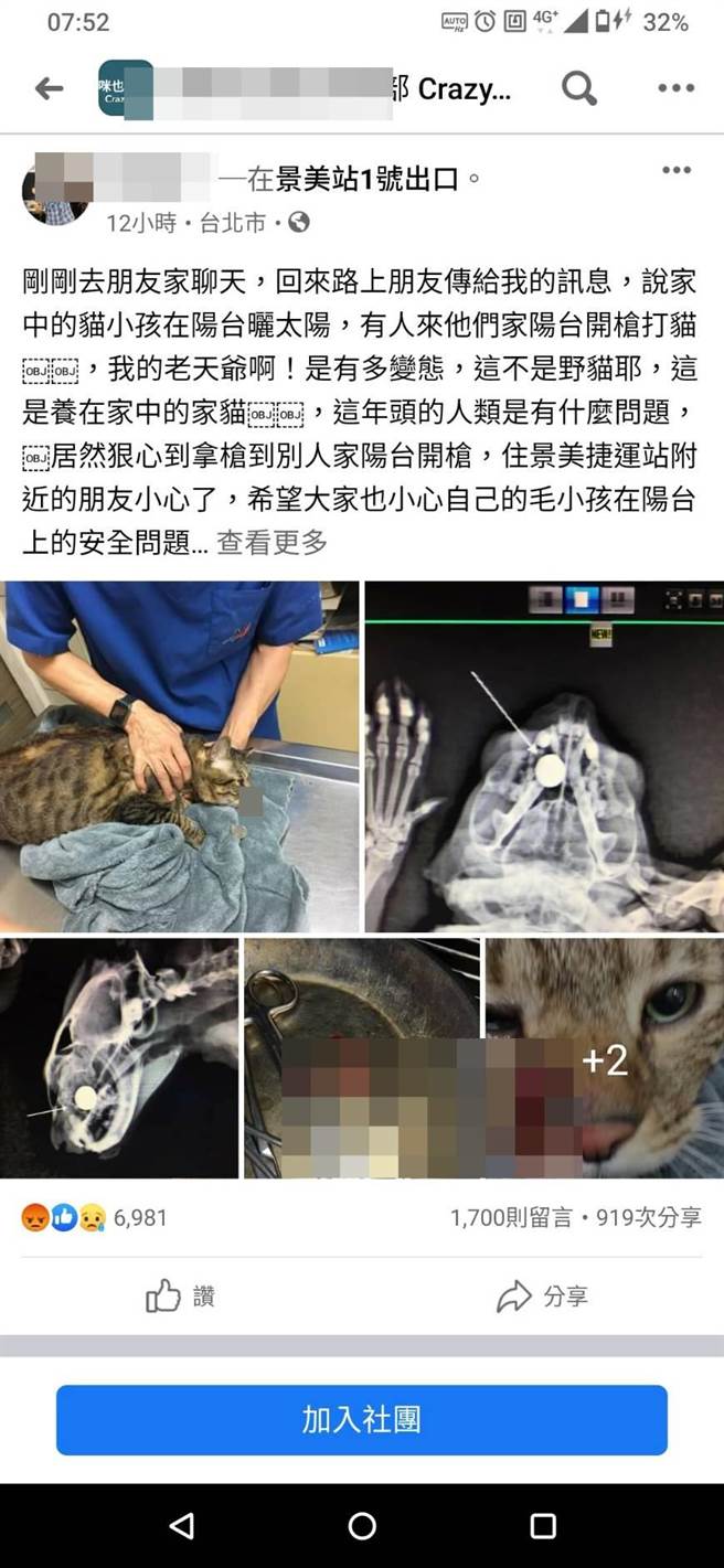 刘姓男子在脸书贴文指出家中饲养的猫咪站在阳台的围墙上遭不明人士已钢珠攻击。（图：翻摄自网路）
