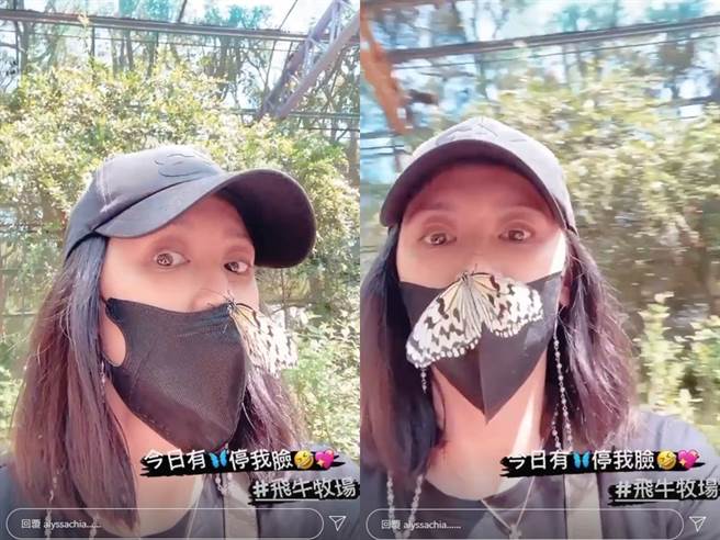 蝴蝶停在贾静雯脸上。（图／IG@贾静雯）