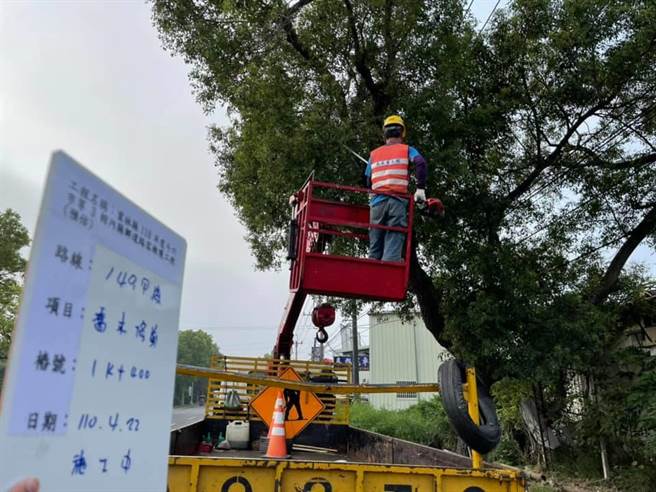 路树修剪也是维持清爽路容的重要工作。（云林县府工务处提供）