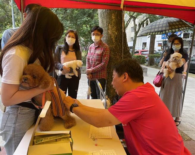 立委费鸿泰周日举办毛小孩健检活动。（立委费鸿泰提供）