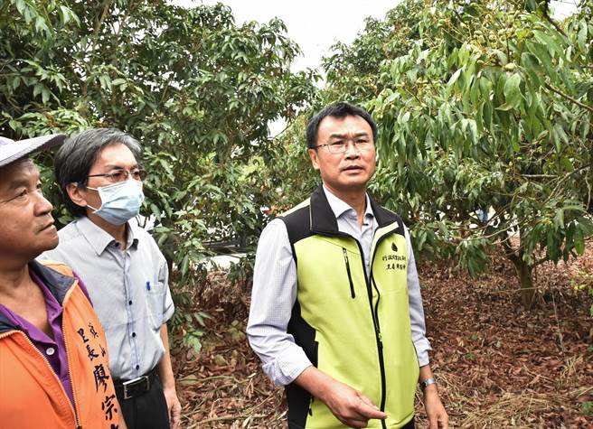 农委会主委陈吉仲（右）26日到旗山区视察荔枝园，他说，农委会将以最快速度协助农民度过难关。（林瑞益摄）