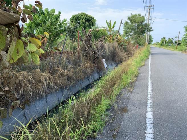 花莲农田旁道路杂草遭喷洒除草剂，不仅违法也危害环境及人体。（花莲县环保局提供／罗亦晽花莲传真）