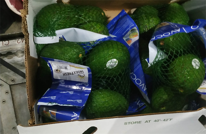 好市多美国进口酪梨被检出重金属镉残留量超标，180箱、1980公斤都须退运或销毁。（图／食药署提供）
