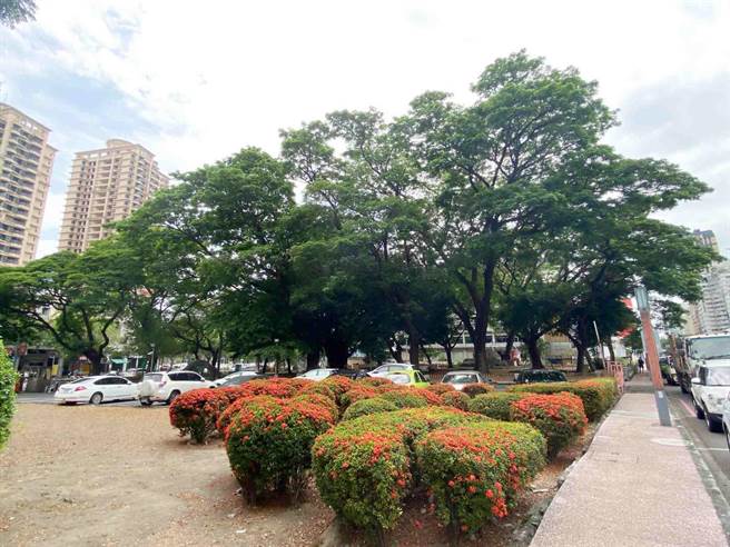 高市议员黄绍庭爆料，地主南和兴有意收回南和泳池，将1.6公顷五福公园「绿地变建地」。（黄绍庭提供／柯宗纬高雄传真）