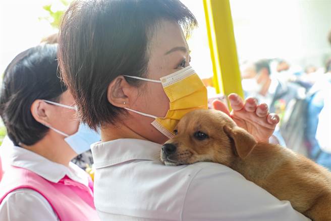 台中市長盧秀燕自己也有養狗，毛小孩安心的趴在盧秀燕肩上。（盧金足攝）