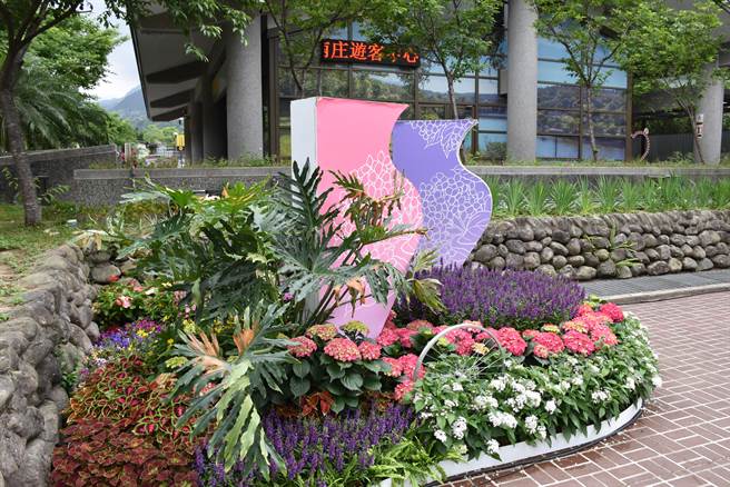 參山處在南庄老街打造3處大型花景裝置藝術，歡迎全國遊客前來一覽浪漫山城之美。（謝明俊攝）