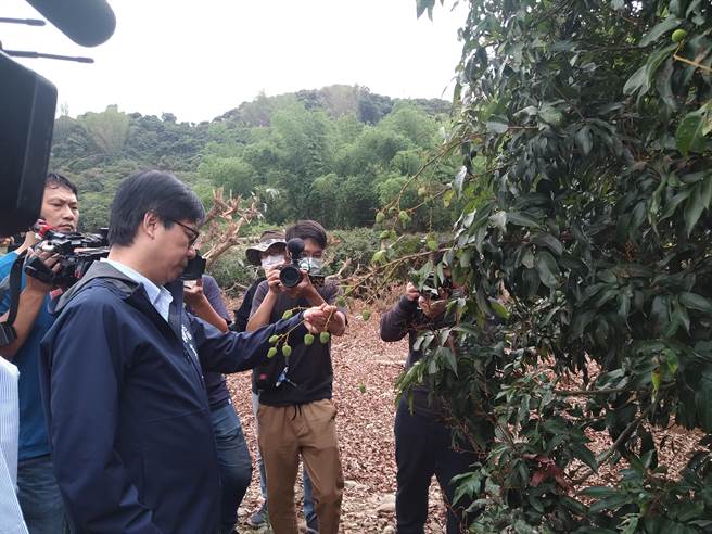 高雄市长陈其迈27日下午前往大树关心玉荷包旱灾造成之农损，当场指示区公所及农业局针对农损从宽认定，尽速完成灾情确认，向中央争取现金救助。（林雅惠摄）
