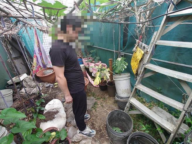 苗栗警分局查获吕姓男子涉嫌行窃高价盆栽，在彰化住处起出赃物盆栽。（苗栗警分局提供／谢明俊苗栗传真）