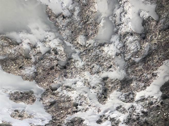 白玉藻礁遭污泥覆盖。（姜霏摄）