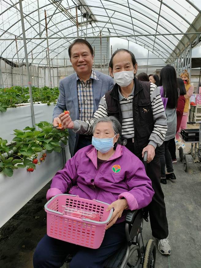 大千慈善基金会董事长徐千刚（后左）陪同长辈与照顾者一同享受採草莓的乐趣。（大千医院提供／谢明俊苗栗传真）