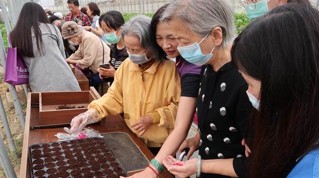 活动现场也安排种玉米的DIY活动，让长辈动动手部肌肉。（大千医院提供／谢明俊苗栗传真）