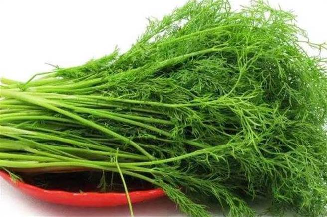 比香菜可怕1000倍？有网友直指「地表克星」青菜是它，光看照片就很害怕。(图/截自脸书 爆怨2公社)