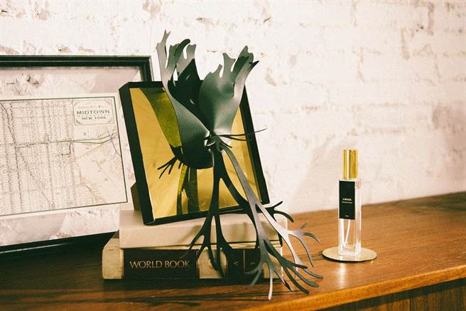 叶叶的香氛鹿角蕨，以皮革的自然纹理重现蕨叶轮廓，搭配香氛成为最美型扩香。（叶叶提供）