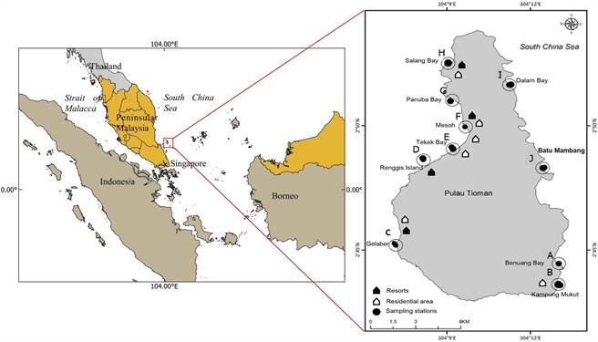 海大助理研究员潘惠娟与马来西亚登嘉楼大学地质研究团队于南海南部马来西亚东岸，以「刁曼岛」进行生态调查。（国立台湾海洋提供／陈彩玲基隆传真）