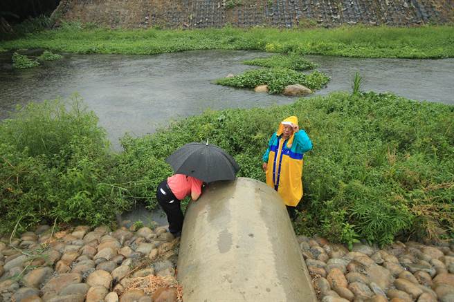 中市大里区大明里国兴公园下的排水涵管，水流跟着「供五停二」的限水措施，停水时就流慢点，水来了，水量就变多、水速也变快，怀疑是附近的自来水干管爆管泄漏自来水。（黄国峰摄）