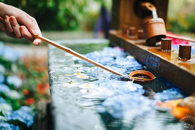 薰衣草森林绣球节偽出国「趣」 穿和服、浴衣免费入园。图片：业者提供，下同