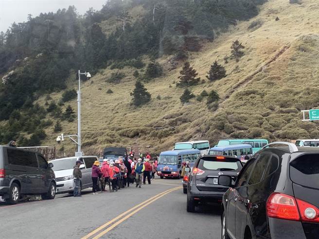 合欢山赏花游客蜂拥而至，公路违规停车，警方将拖吊。（廖志晃摄）