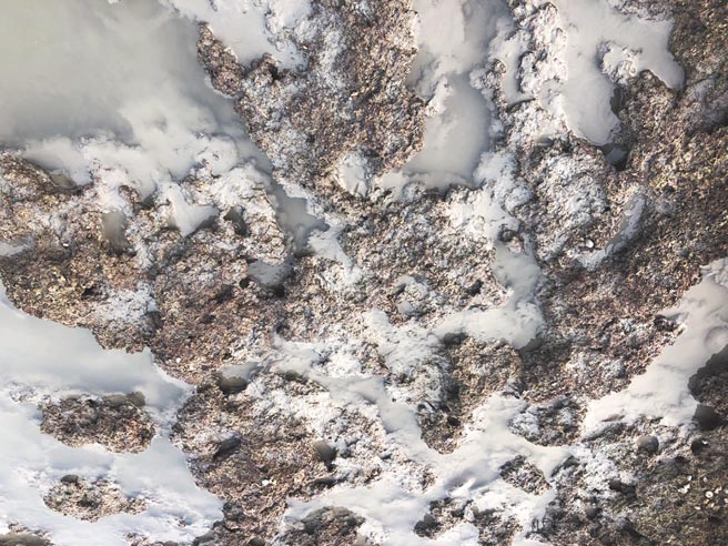 白玉藻礁遭污泥污染，保生发展协会不满影响礁体生态发展，盼桃园市府重视问题。（姜霏摄）