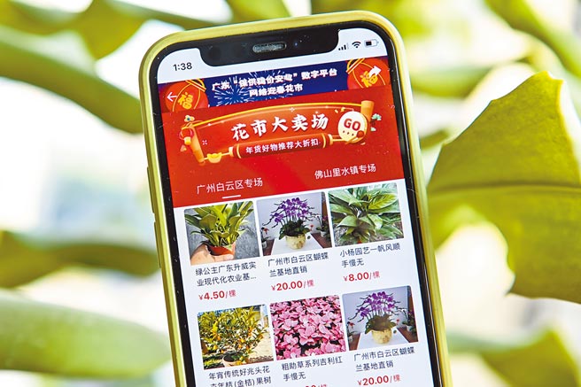 广东省农业农村厅在广东农产品「保供稳价安心」数字平台开设网络迎春花市，助力年宵花产品走向电商平台。（中新社）