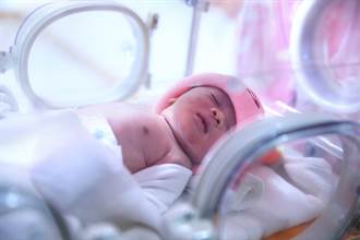 連血管都還沒長 450g超袖珍寶寶出生 100天後出現奇蹟