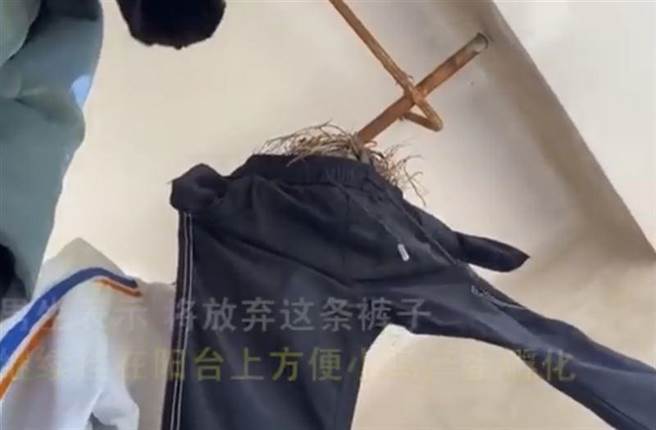 高中男晾在陽台上的褲子長出鳥窩。（圖／翻攝自人民網微博）