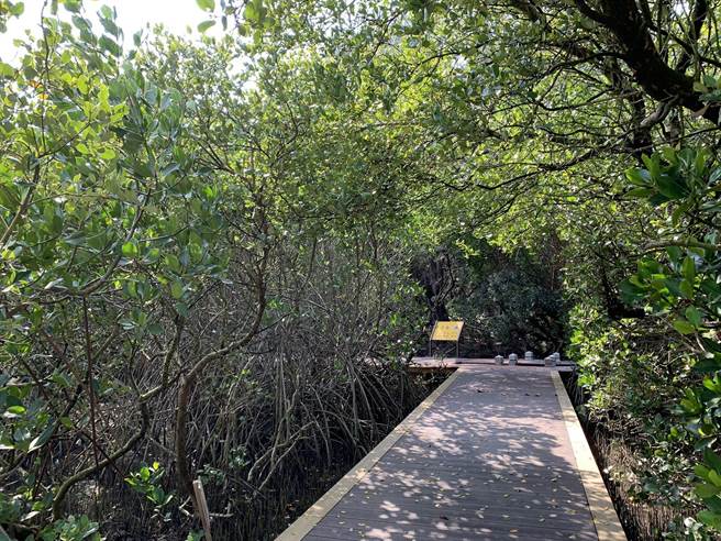 双春滨海游憩区南向栈道第一期170公尺的重建去年已完工，第二期工程6月发包。（台南市观旅局提供／刘秀芬台南传真）