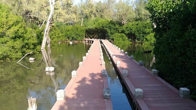 双春滨海游憩区北侧水漾森林栈道如忘忧森林美景。（台南市观旅局提供／刘秀芬台南传真）