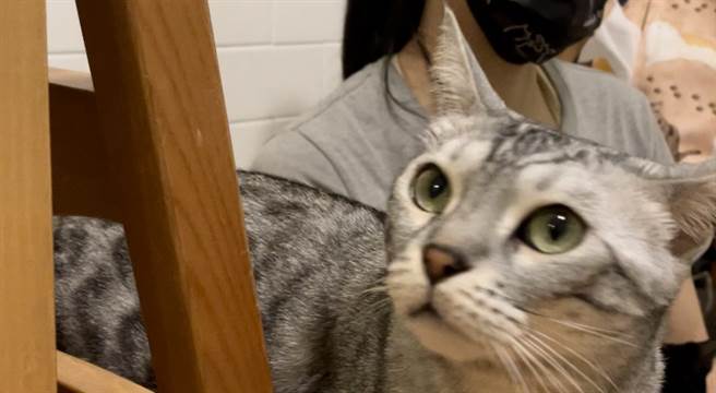 宜兰咖啡厅陈老板娘日前突在店内昏厥，突然领悟到生命的可贵。（照片/蔡琬婷 拍摄）