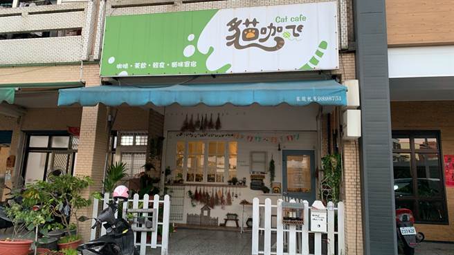 宜兰罗东镇光街上知名咖啡厅「猫咖飞」，总吸引不少爱猫人士前往。（照片/蔡琬婷 拍摄）