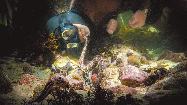 Netflix刚凭《我的章鱼老师》在第93届奥斯卡上夺下最佳纪录片奖。（美联社）