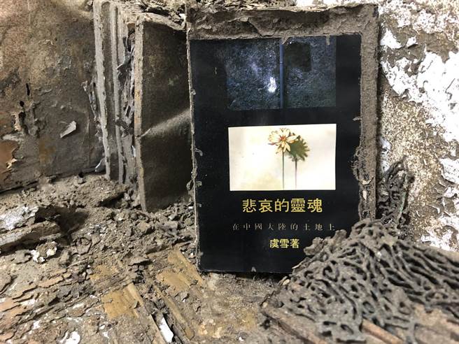 白蚁居然把整箱书吃成网状泥块，只留下中间这本《悲哀的灵魂》的完整封面和半本集子。（作者提供）