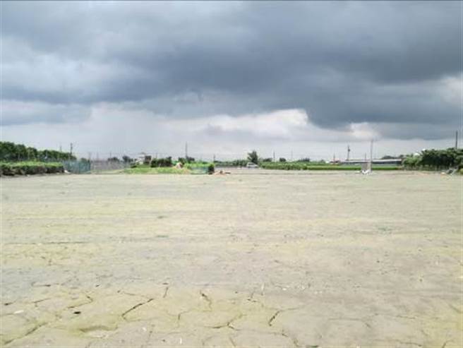 疑似遗址的东口遗址，位于崙脚寮聚落群西侧，地表可见陶片、贝类等遗物散落，实际年代尚不明，有採集到陶片、贝类等文化遗物。（彰化县文化局提供／吴敏菁彰化传真）