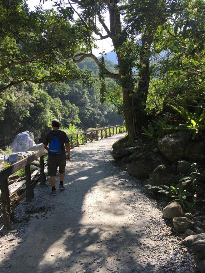 砂卡礑步道平缓好走，是不少民眾踏青首选。（罗亦晽摄）