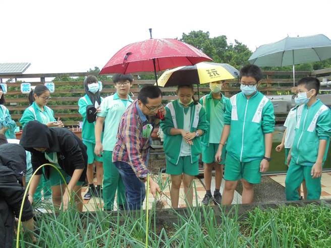 新北市莺歌国中2011年推动食农教育，邀请在地国小幼童体验採摘，将食农教育向下扎根。（莺歌国中提供）