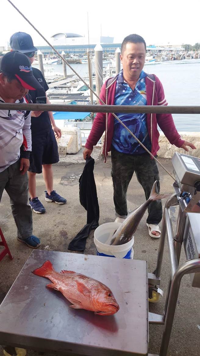 公益船钓比赛渔获丰富，经台中区渔会拍卖，所得捐助育幼院等弱势团体。（台中一支钓渔船协会提供／王文吉台中传真）