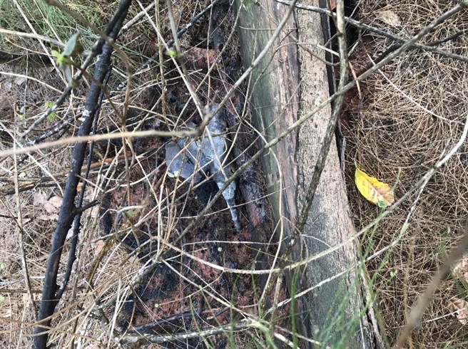 金门金寧乡盘果路和桃园路的交叉路口今天下午突发无名火，并传出剧烈爆炸声，最后证实是81公厘黄磷未爆弹残体自燃引起。（金门县消防局提供）。