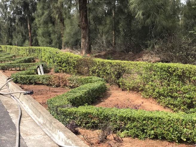 现场是通往机场的路口，又是路沿石隔离的花圃，平日常有人灌浇植栽。（金门县消防局提供）