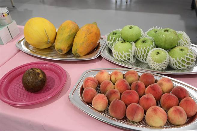 台南市六甲区拥有山林农牧。（台南市政府提供／张毓翎台南传真）