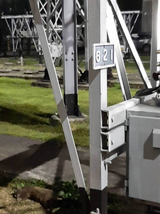 白鼻心(照片左下角)闯入，桃6万3588户大停电。(台电提供／蔡依珍桃园传真)
