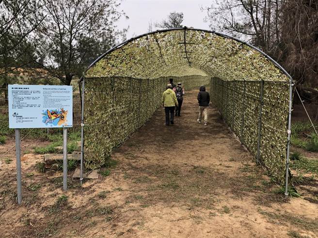 5月以后进入赏鸟高峰期，青年农庄的鸟友愈来愈多。（李金生摄）