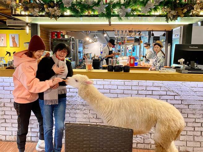 徐若瑄為人母親之後，更能體會媽媽對她的用心良苦。（徐若瑄提供）