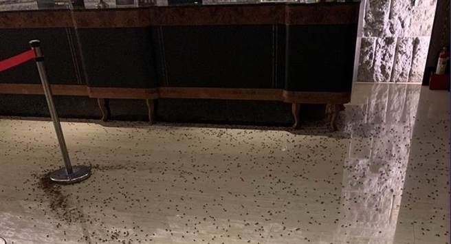 （王欣仪提供）