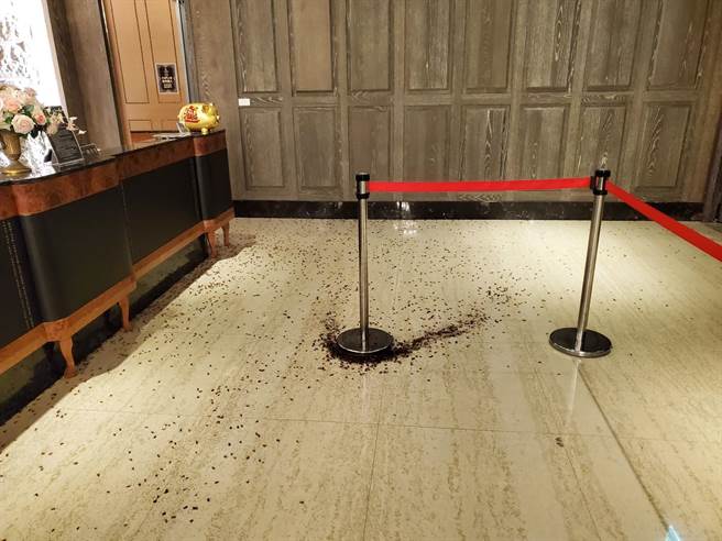 千只小强在柜臺前乱窜。（翻摄画面）