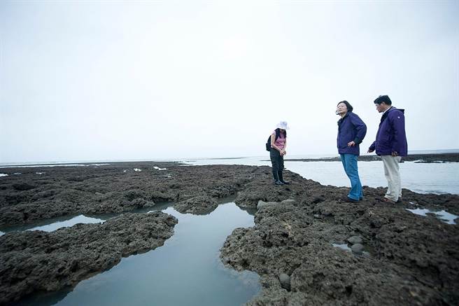 总统蔡英文支持行政院3日公布的三接外推方案。图为蔡英文2013年视察桃园新屋溪口的藻礁。（图／摘自蔡英文脸书）